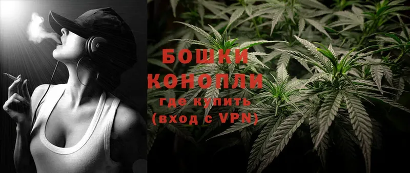 купить наркотики сайты  Белоозёрский  Конопля OG Kush 